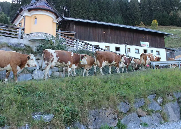 Appartmenthof Aigengut Ferienwohnung Grossarl