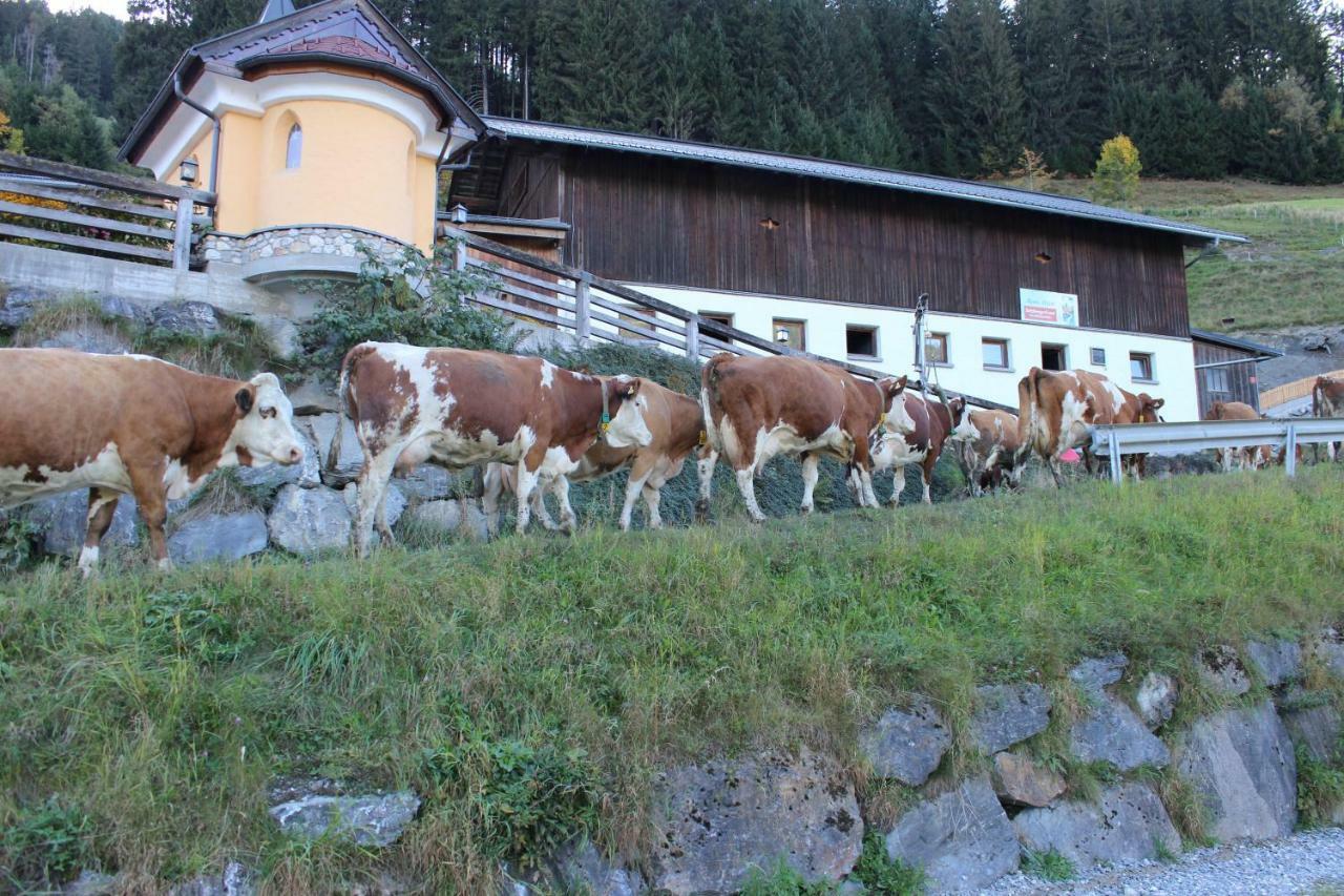 Appartmenthof Aigengut *